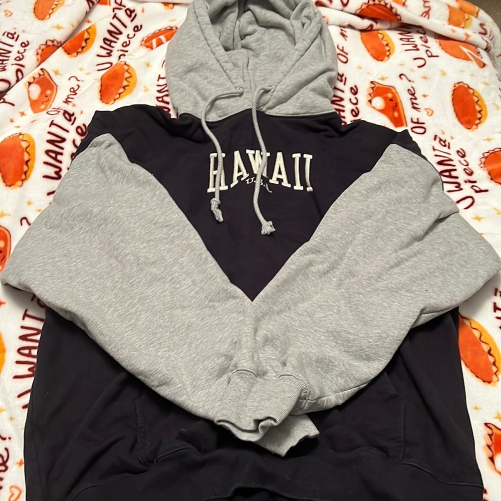 Brandy Melville Hawaii Sweatshirt